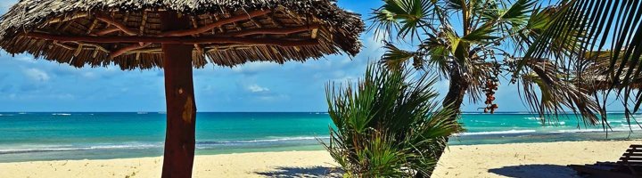 Palmbomen langs het witte zandstrand van Diani Beach in Kenia.