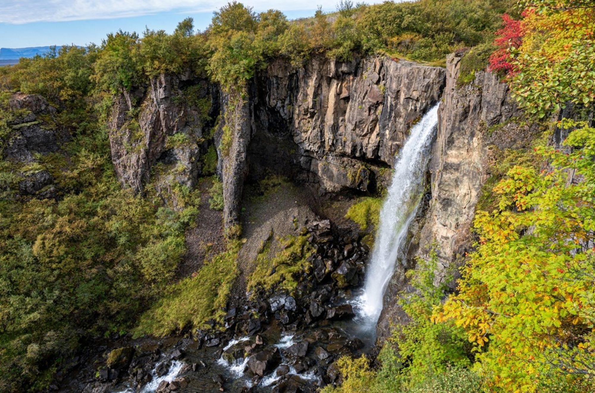 Waterval in een rotsachtige kloof met groen en herfstkleuren in IJsland.