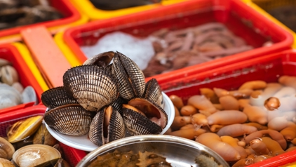 Jagalchi-markt in Zuid-Korea