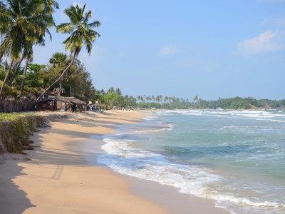 Palmen langs een zandstrand met golven aan de kust van Sri Lanka.