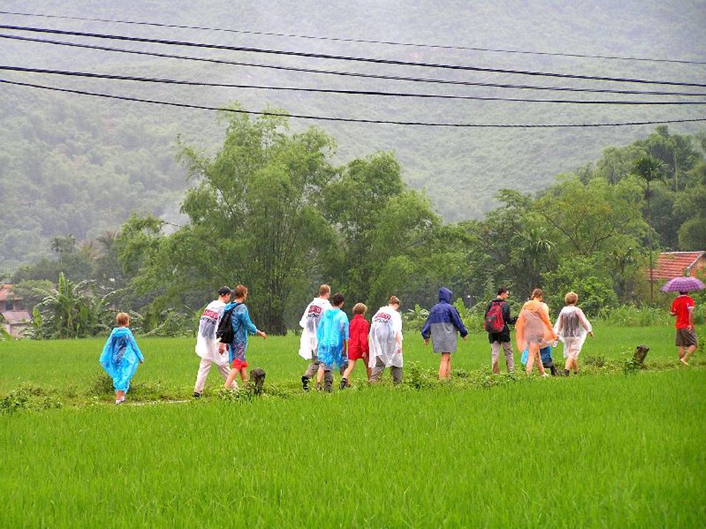 Familiereis Vietnam: groep wandelt door groene rijstvelden tijdens een regenbui.
