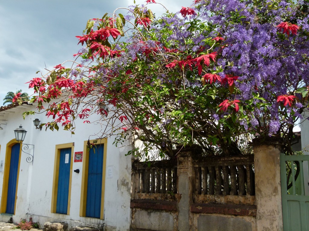 Witte gevel met blauwe deuren en bloeiende paarse en rode klimplanten tijdens groepsrondreis Brazilië.