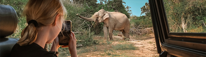 Reiziger fotografeert een olifant tijdens safari vanuit een voertuig, als voorbeeld van diervriendelijk reizen.