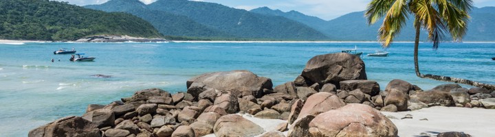 Rotsachtig strand met palmboom en uitzicht op de groene heuvels van Ilha Grande, Brazilië.