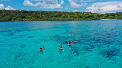 Snorkelen bij Menjangan Island