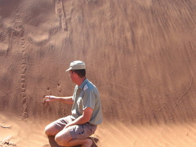 Gids wijst rotstekeningen aan op een rotswand in Twyfelfontein, Namibië.
