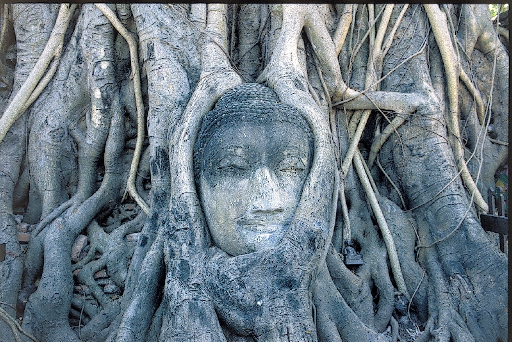 Familie in een hangmat tussen palmbomen op het strand tijdens Familiereis Thailand Chill & Adventure.
