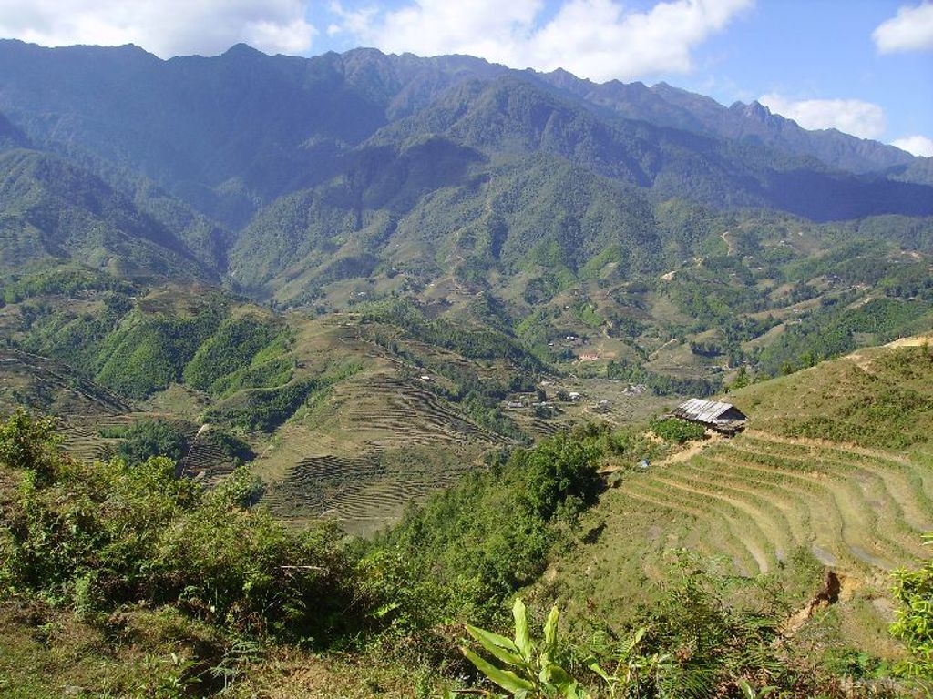 Groene bergvallei met rijstterrassen in Vietnam tijdens een groepsrondreis.
