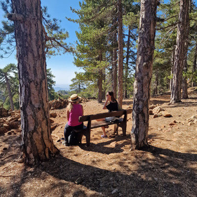 Rustpauze tijdens wandelvakantie op Cyprus, twee wandelaars op bankje in dennenbos met uitzicht.