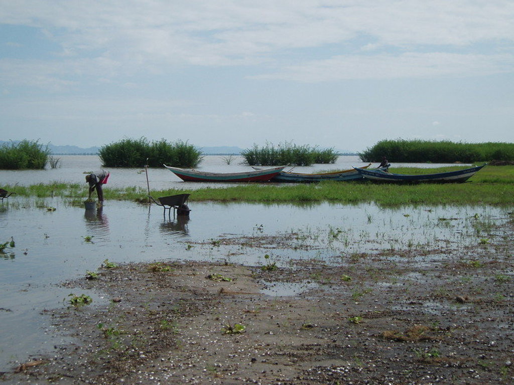 Vissersboten aan de oever van een meer met riet en ondiep water in Kenia, Tanzania en Zanzibar.