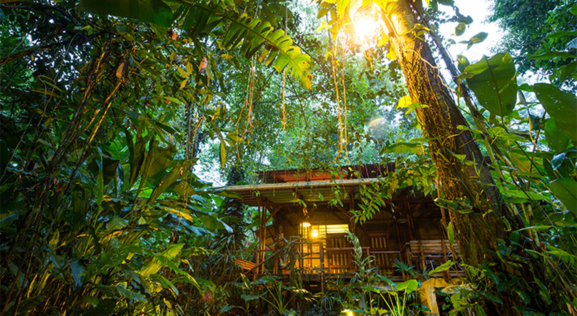 Costa Rica Houten lodge in het regenwoud, omringd door weelderig groen met zonlicht door de bomen.