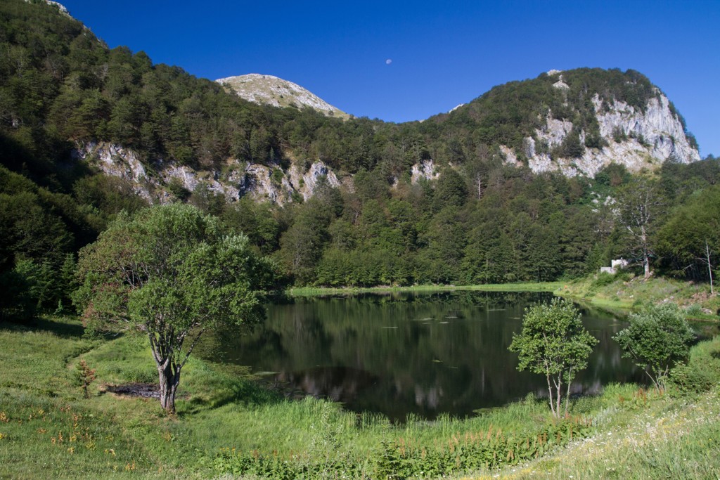 Bergmeer met groene oevers en rotsachtige berghellingen onder een heldere blauwe lucht in Montenegro.