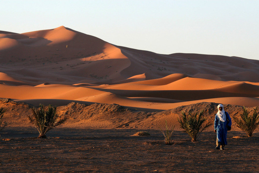 Zandduinen in de Sahara bij zonsondergang tijdens de groepsrondreis Marokko Chill & Adventure.