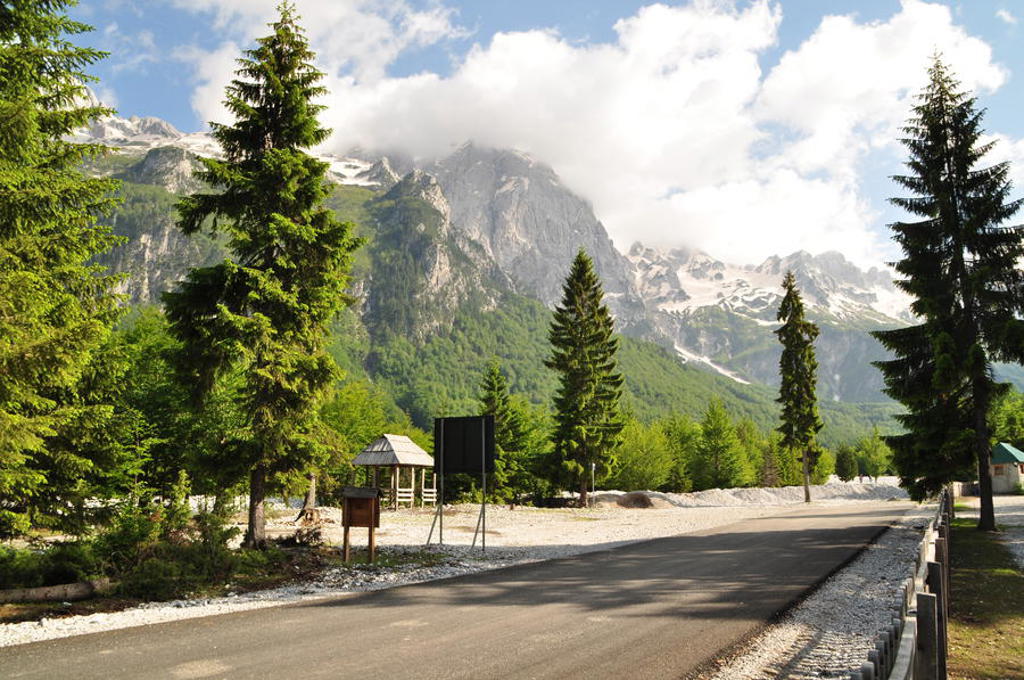 Berglandschap in Albanië met weg door dennenbos en besneeuwde toppen, tijdens groepsrondreis Albanië, Kosovo en Noord-Macedonië.