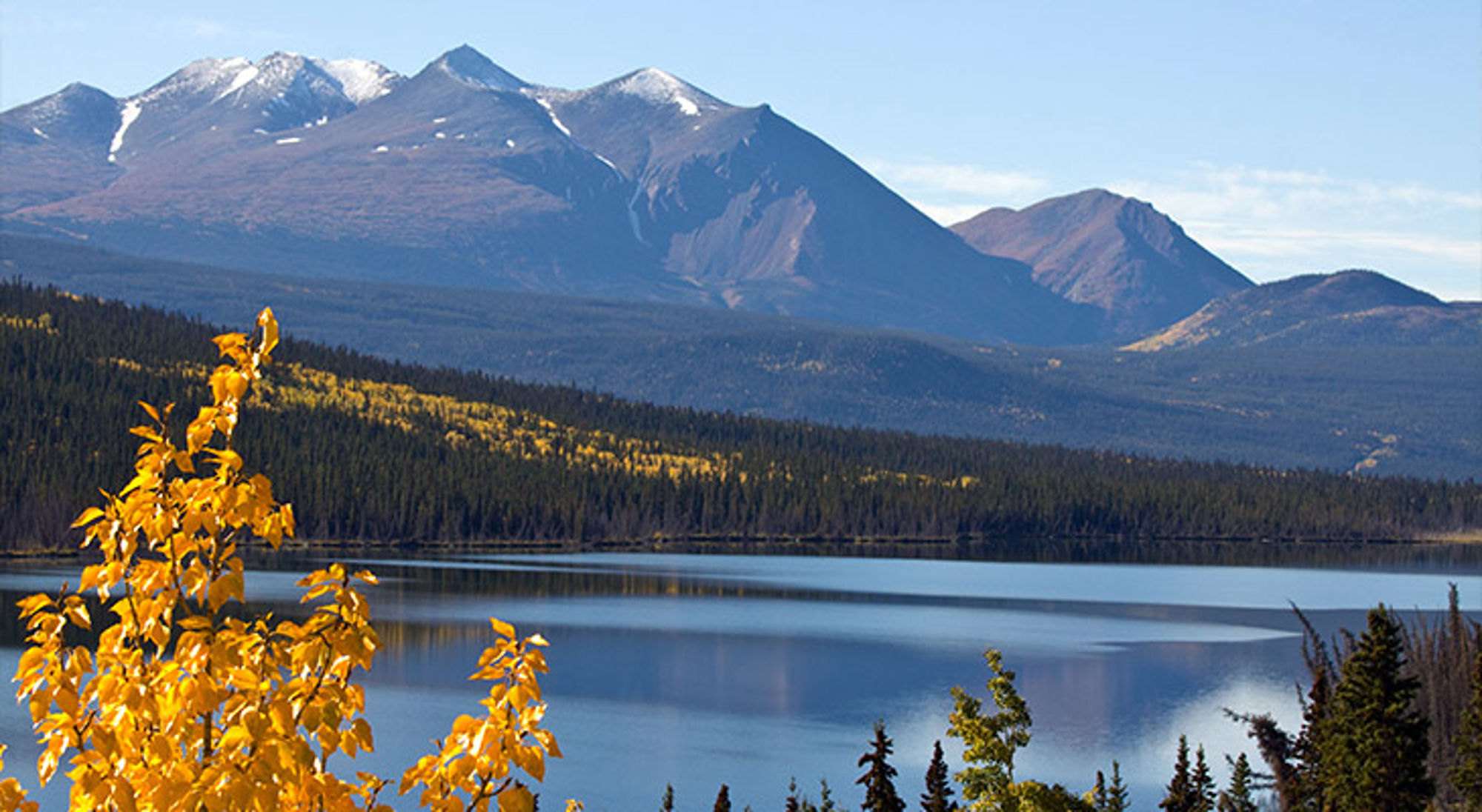 Kluane Nationaal Park Berglandschap met besneeuwde toppen en een meer, met gele herfstbladeren op de voorgrond.