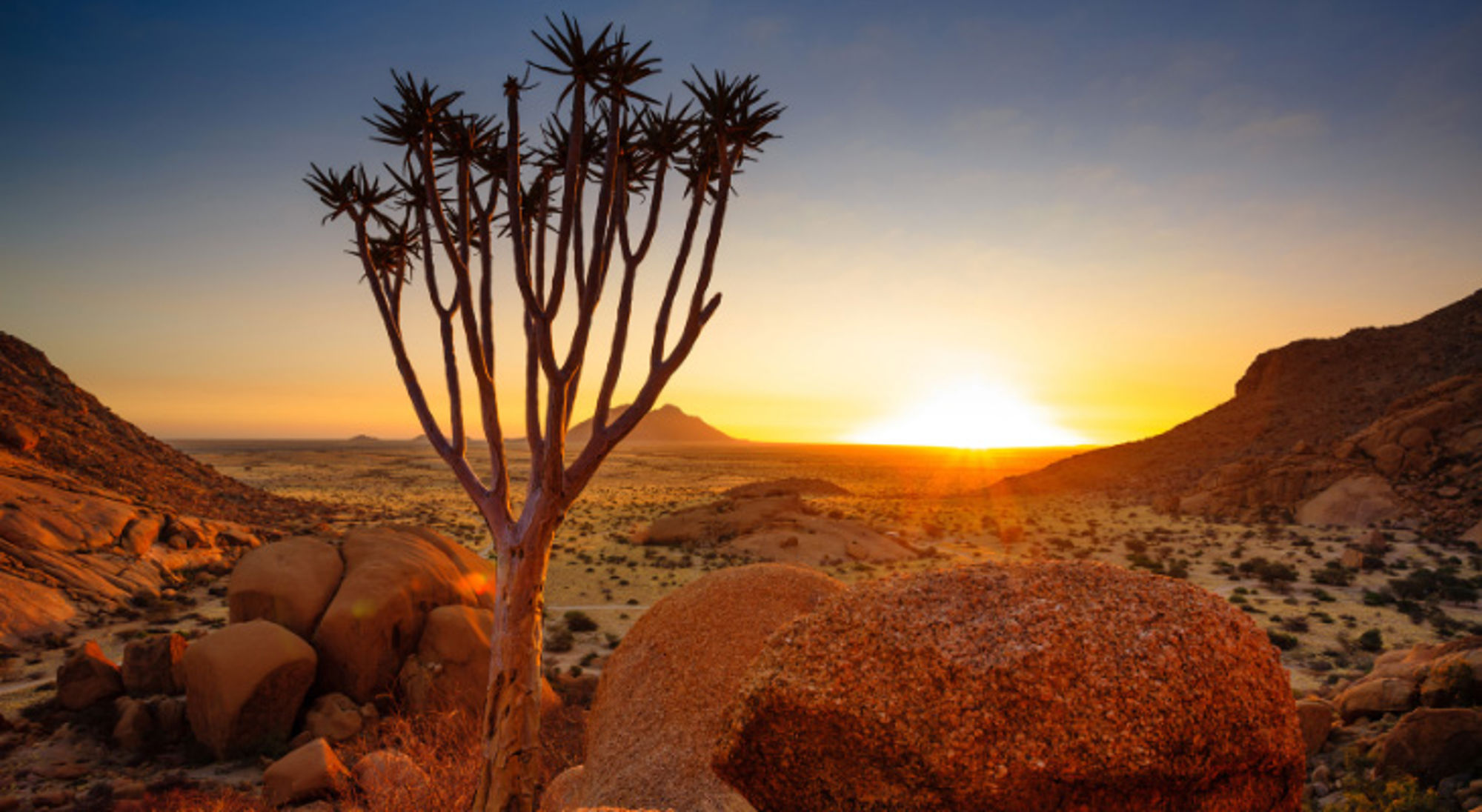 Zonsondergang met Quiver Tree in Spitzkoppe en Damaraland, Namibië Kokerboom in rotsachtig woestijnlandschap bij zonsondergang in Namibië.