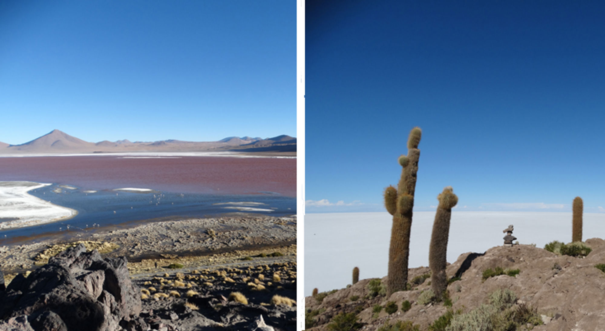 altiplano - zout vlakte in bolivia Uitzicht op een rood zoutmeer met bergen en cactussen aan de rand van de Salar de Uyuni, Bolivia.