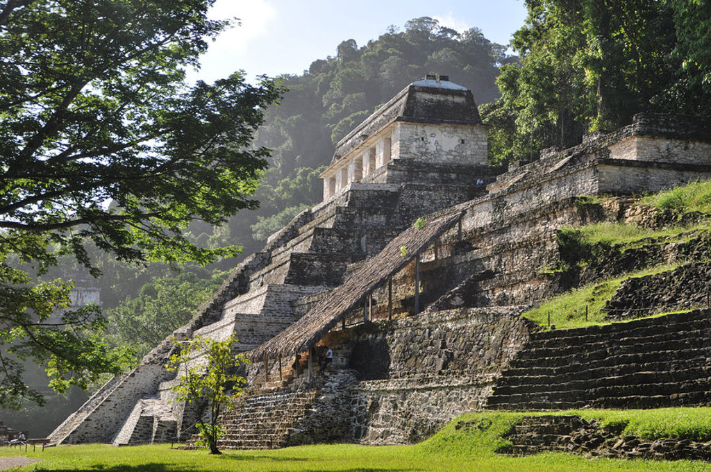Maya-tempel in Palenque, Mexico, tussen groene jungle.
