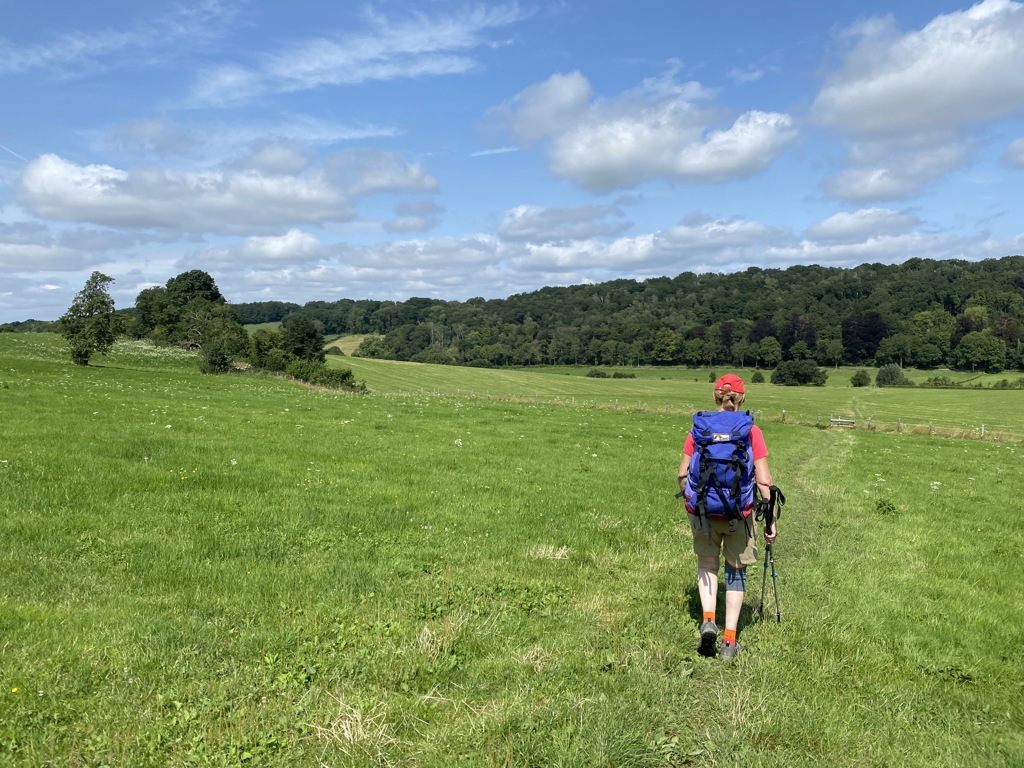 Wandelaar met rugzak op groen heuvellandschap tijdens de Dutch Mountain Trail wandelvakantie.