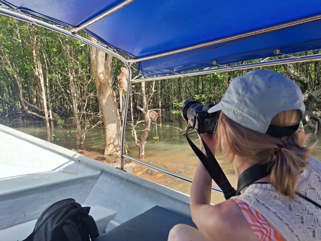 Neushoornvogel in het regenwoud van Maleisisch Borneo tijdens een familiereis.