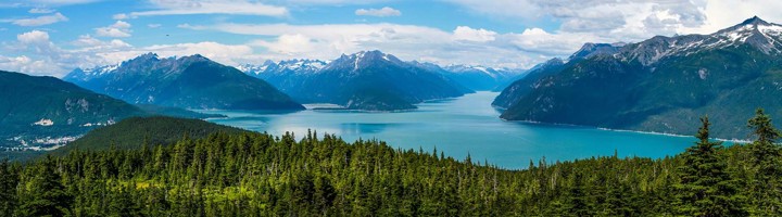 Panorama van bergen, fjord en dennenbos in Alaska tijdens een groepsrondreis.