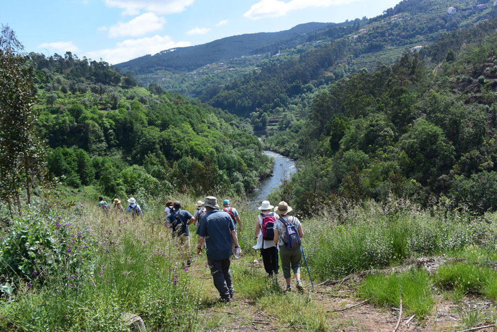Wandelaars op pad door groene heuvels en langs een rivier in de Douro Vallei, Portugal.