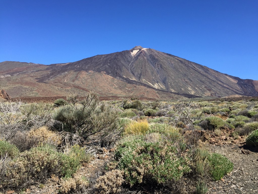 Vulkaan El Teide op Tenerife met ruig lavalandschap en struikgewas onder een heldere blauwe lucht.