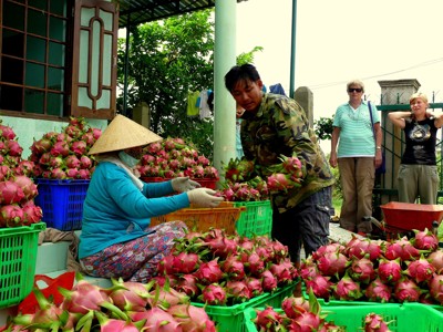 Verkoop van drakenvruchten op een markt in Vietnam tijdens de Route Vietnam.
