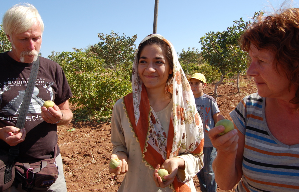 Familiereis Turkije: lokale gids in boomgaard met reizigers die vers fruit proeven.