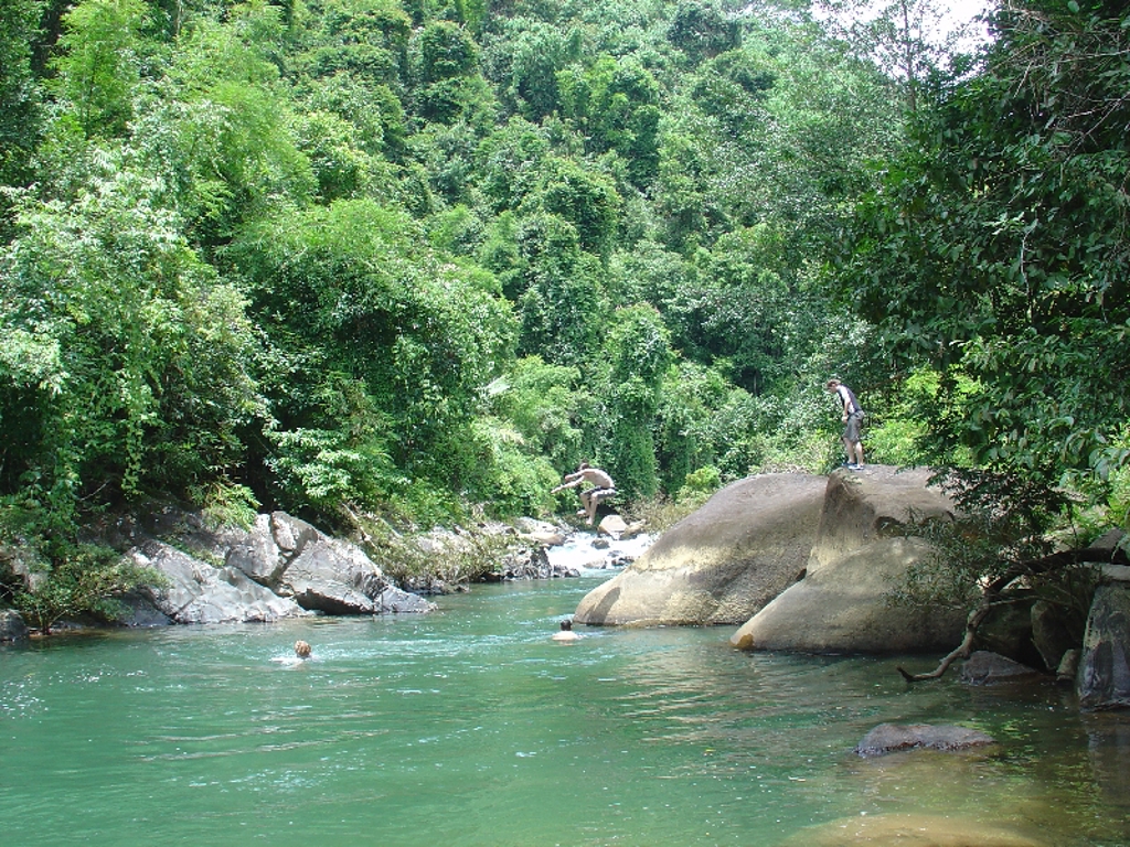 Groene rijstvelden met palmbomen in Thailand tijdens familiereis Noord en Zuid.