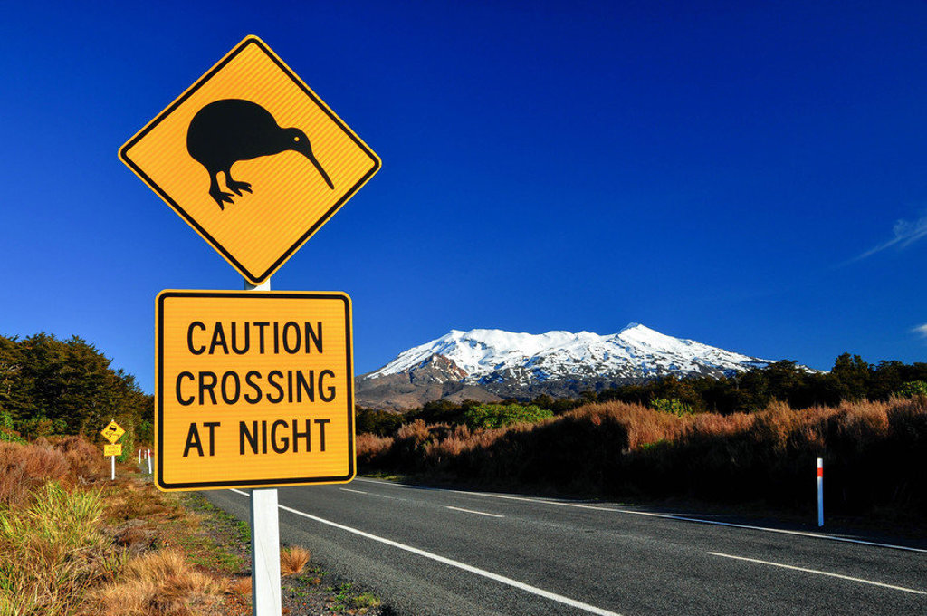 Kiwi-waarschuwingsbord langs een weg met besneeuwde bergen op de achtergrond tijdens groepsrondreis Nieuw-Zeeland.