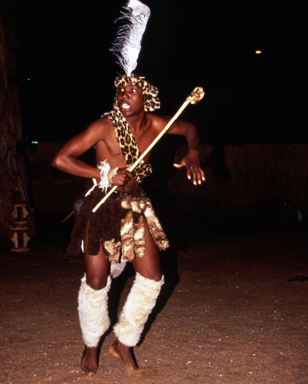 Traditionele danser in Zimbabwe tijdens een avondvoorstelling, met verenhoofdtooi en staf.