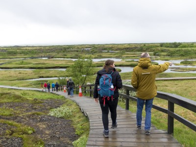 Wandelaars op houten vlonderpad door het groene landschap van Þingvellir Nationaal Park in IJsland.