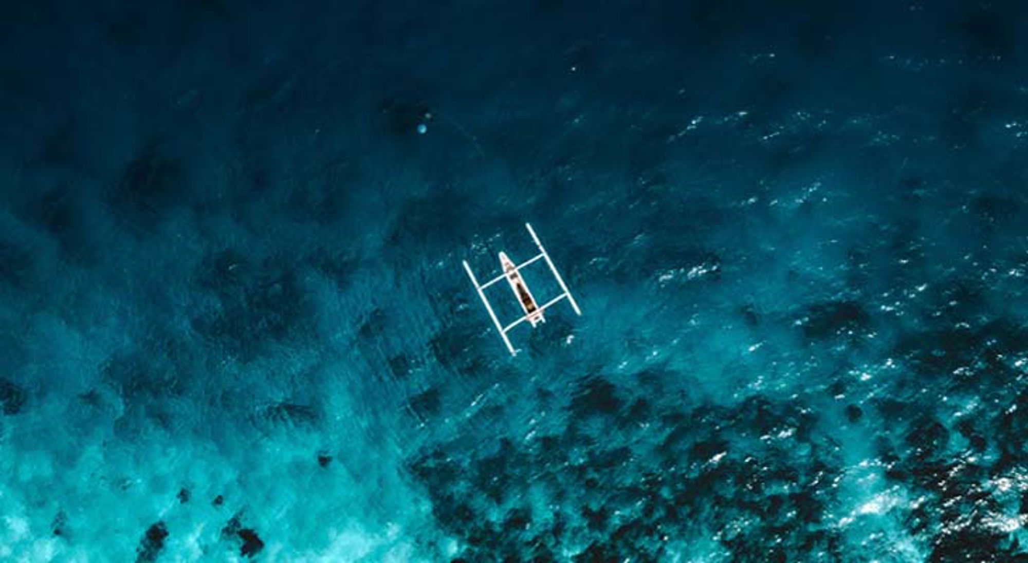 Gili Air Indonesië Groene rijstterrassen in Indonesië met palmbomen op de achtergrond.