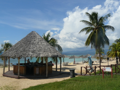 Strand in Cuba met palmbomen, rieten strandbar en ligbedden aan helderblauw water.