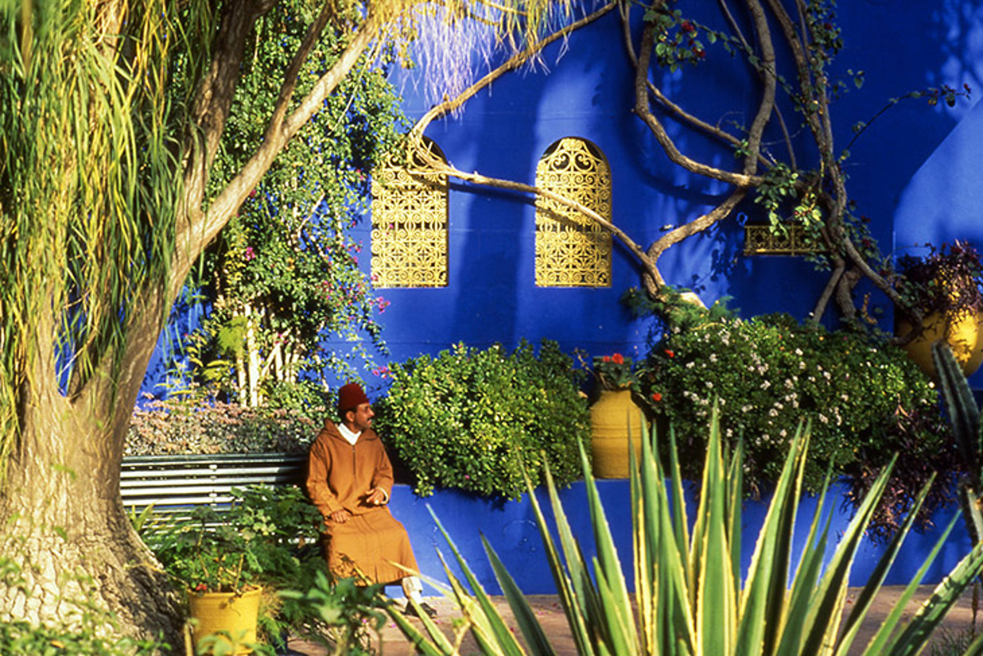 Marrakech, Marokko Man zit op een bank in een groene tuin bij een felblauwe muur met sierlijke ramen.