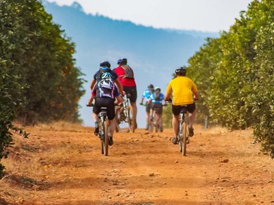 Fietstocht over een zandpad langs citrusboomgaarden op de Route Zuid-Afrika.