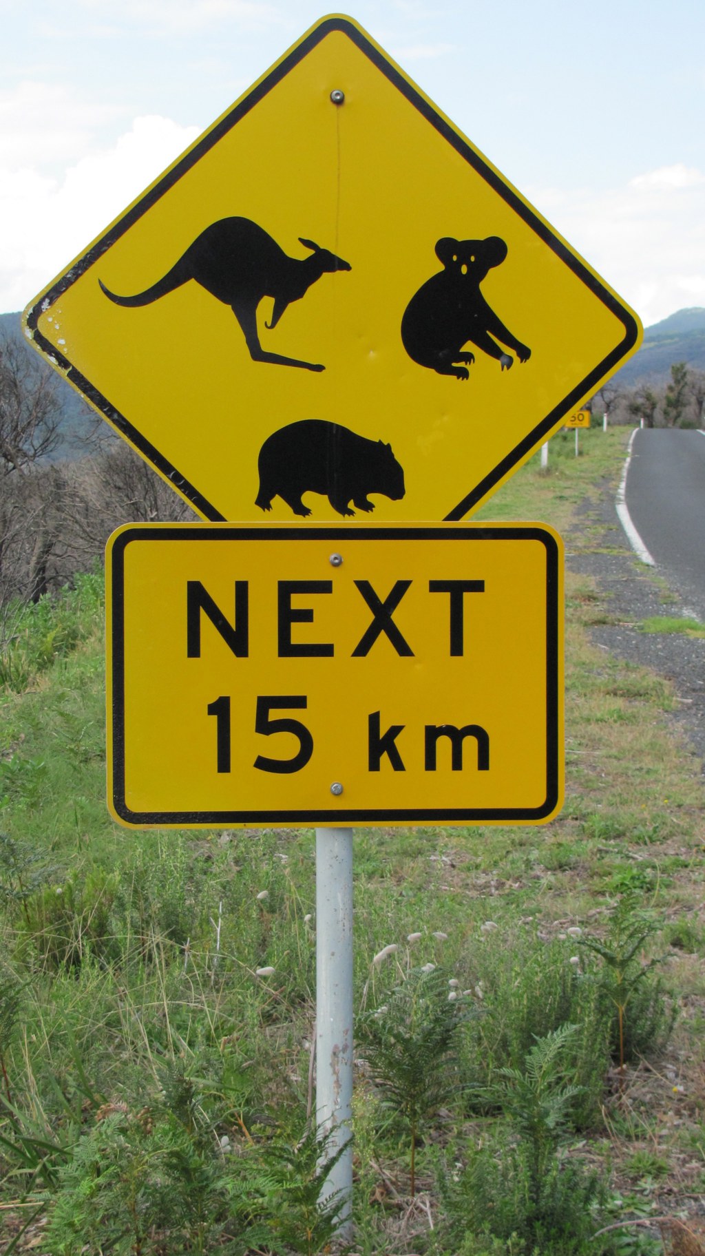 Verkeersbord in West-Australië met waarschuwing voor kangaroes, koala’s en wombats