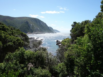 Groene kliffen en rotskust aan de Tuinroute in Zuid-Afrika, met uitzicht op de oceaan.