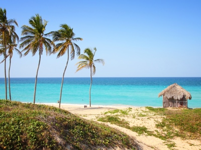 Palmbomen en rieten strandhut aan een wit zandstrand met turquoise zee in Cuba.