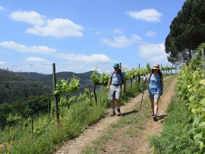 Wandelaars op pad langs wijngaarden in de Douro Vallei, Portugal.