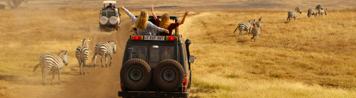 Familiereis safari: jeeps op savanne langs zebra’s.