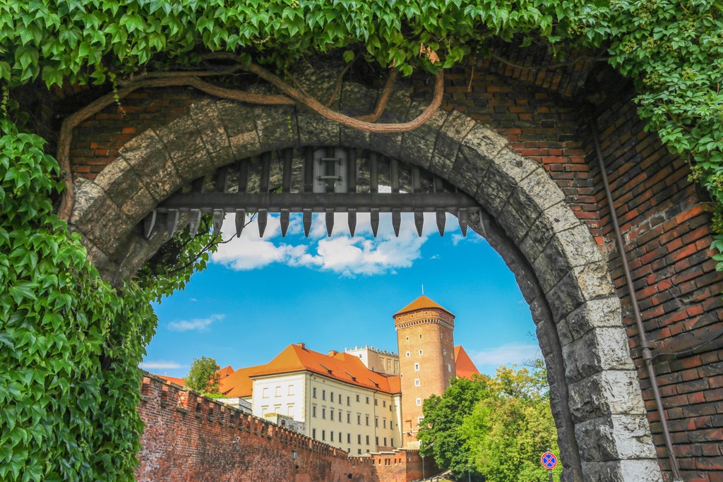 Wawel-kasteel in Krakau, gezien door een oude stadspoort met klimop tijdens een groepsrondreis Polen.