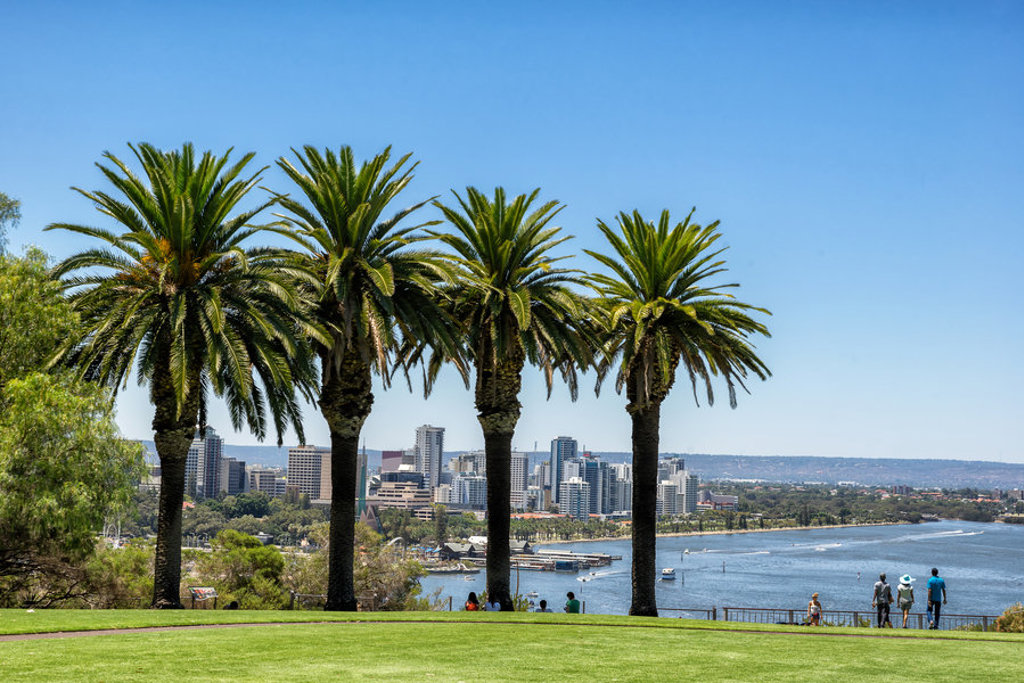 Uitzicht op de skyline van Perth vanaf Kings Park, met palmbomen en de Swan River op de voorgrond.