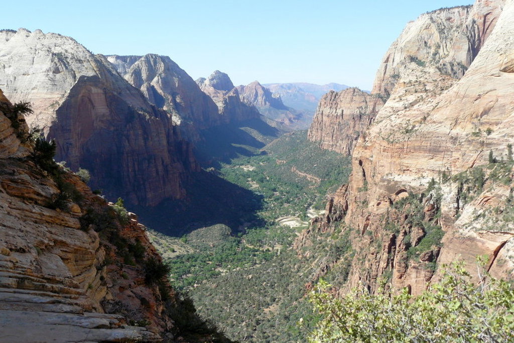 Uitzicht over Zion National Park met diepe kloof, rode rotswanden en groene vallei in de Verenigde Staten.