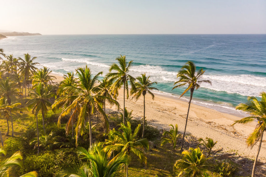 Palmen langs een tropisch strand aan de Caribische kust van Colombia tijdens een 22-35ers rondreis.