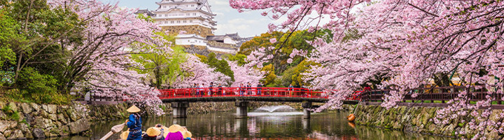 Kersenbloesem bij Himeji-kasteel in Japan, met rode brug en boot op de gracht.