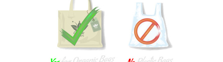 Herbruikbare tas met groen vinkje naast plastic tas met verbodsteken, symbool voor plasticverbod in Tanzania.