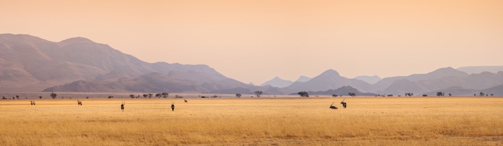 Uitgestrekte savanne met gemsbokken en berglandschap in Zuid-Afrika tijdens groepsrondreis Premium.