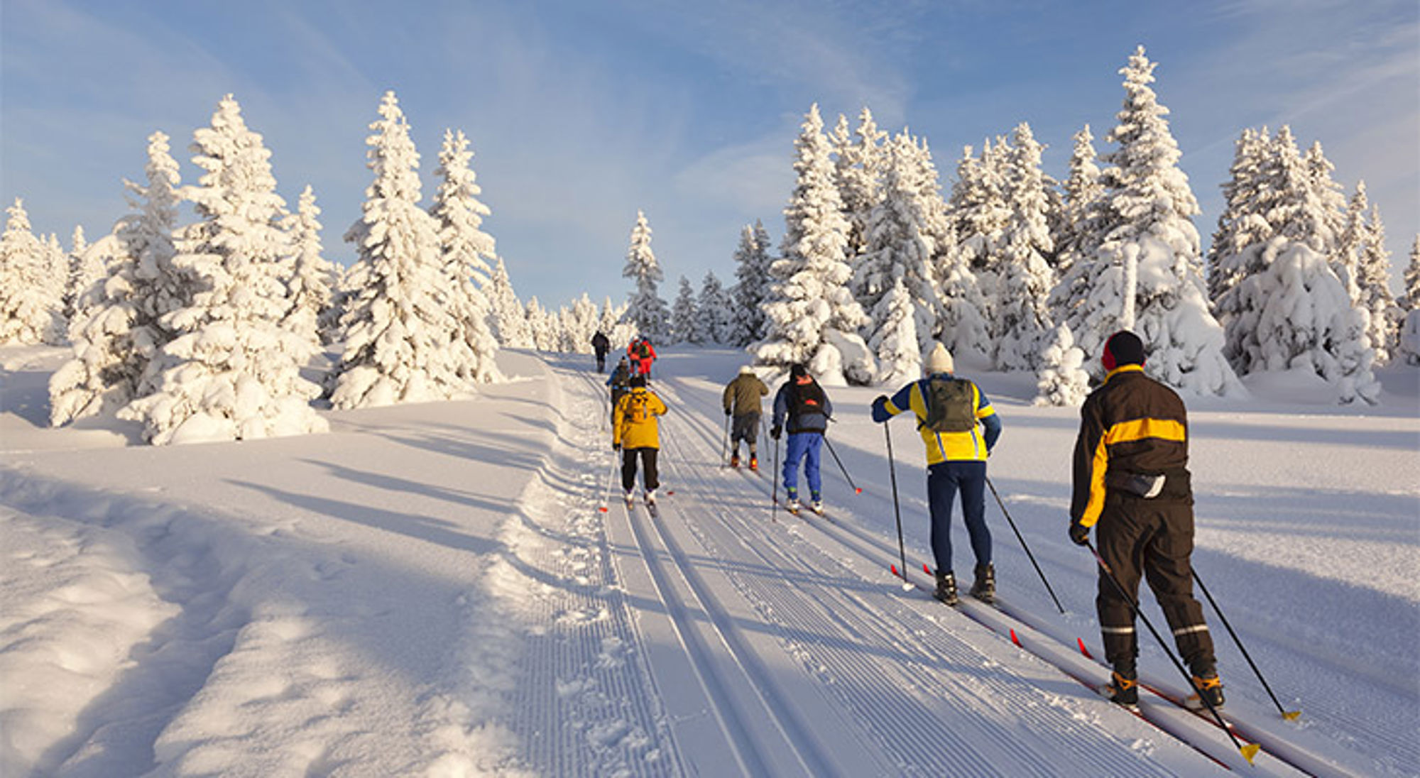 Langlaufers op een besneeuwd bospad tijdens de kerstvakantie.